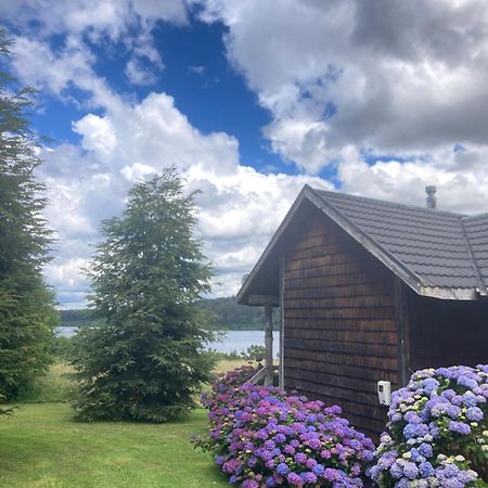 Antuquelen Lodge Cabanas フルティジャール エクステリア 写真