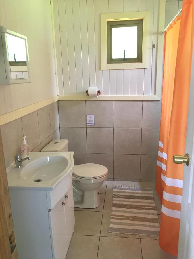 Antuquelen Lodge Cabanas フルティジャール エクステリア 写真