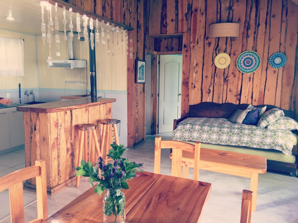 Antuquelen Lodge Cabanas フルティジャール エクステリア 写真