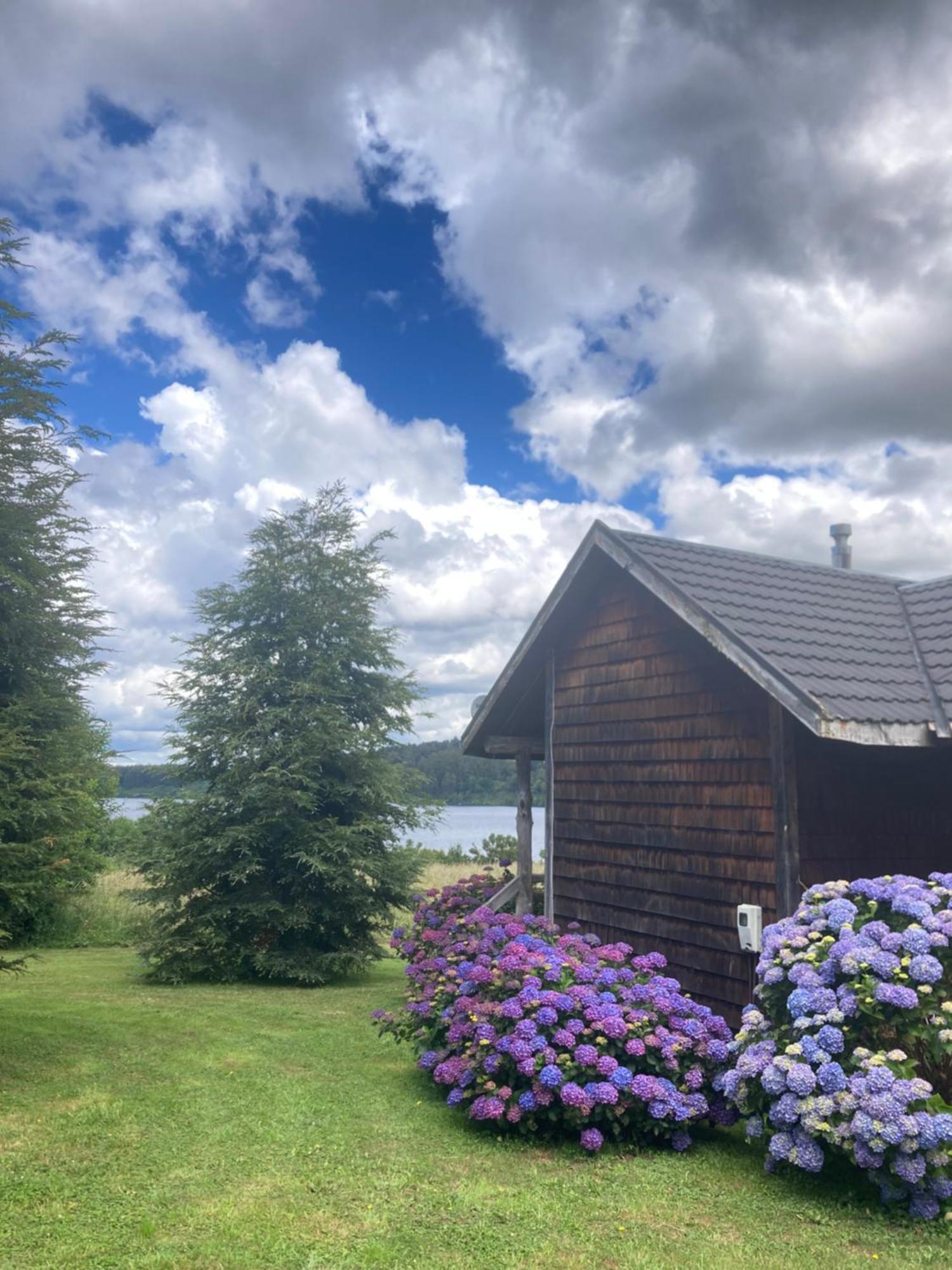 Antuquelen Lodge Cabanas フルティジャール エクステリア 写真